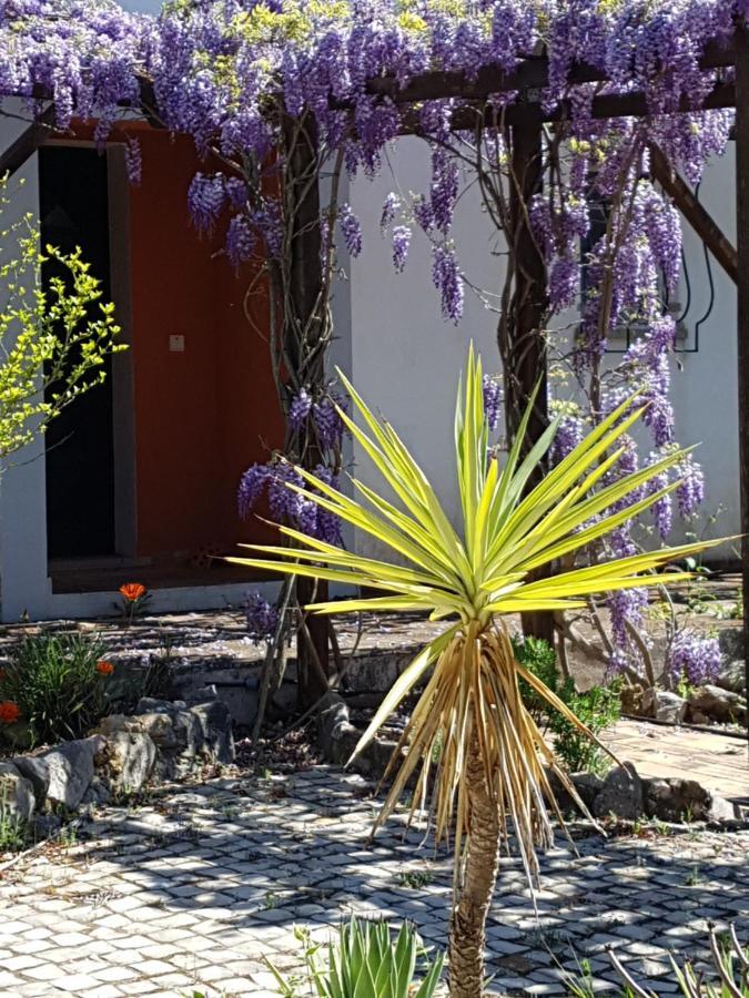 مبيت وإفطار مونكاراباشو Casa Oliviera المظهر الخارجي الصورة