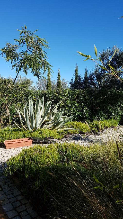 مبيت وإفطار مونكاراباشو Casa Oliviera المظهر الخارجي الصورة
